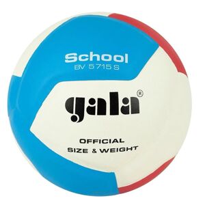 Volejbalové míče
