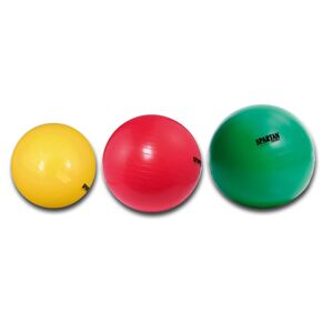 Gymnastický míč SPARTAN průměr 65 cm - zelený