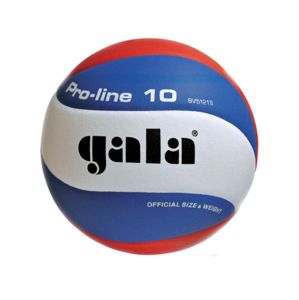 Volejbalový míč GALA Pro Line 5121S